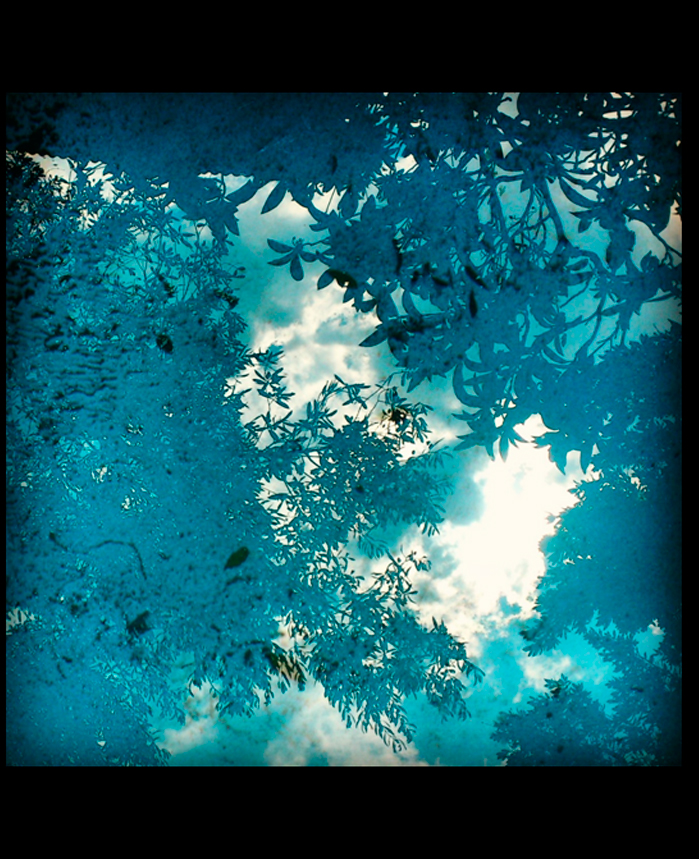 Elisabeth Cuquerella