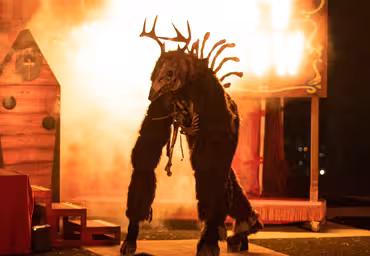 Wilhelm's Freak Show